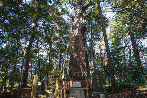 麻賀多神社（台方）